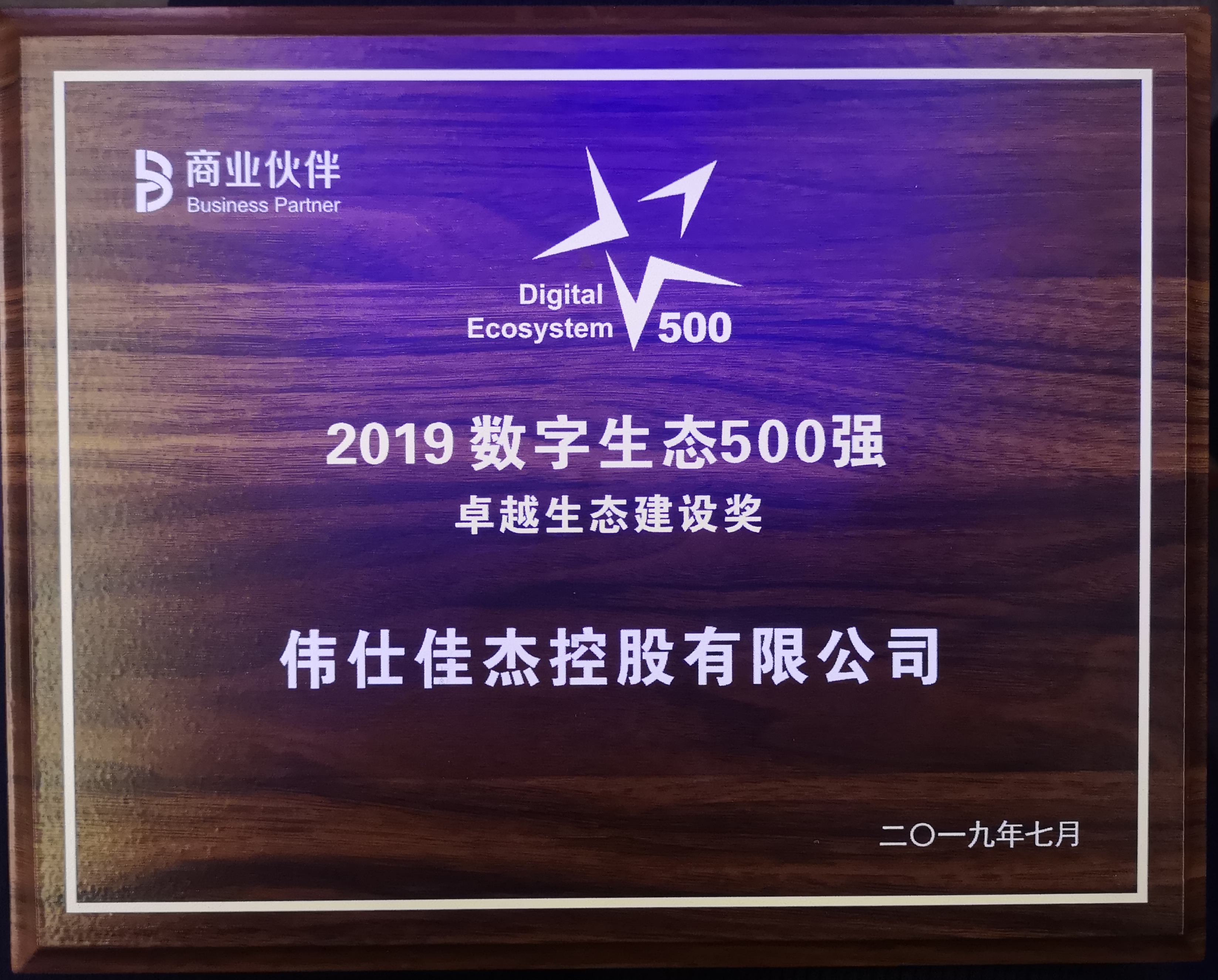 伟仕佳杰控股有限公司