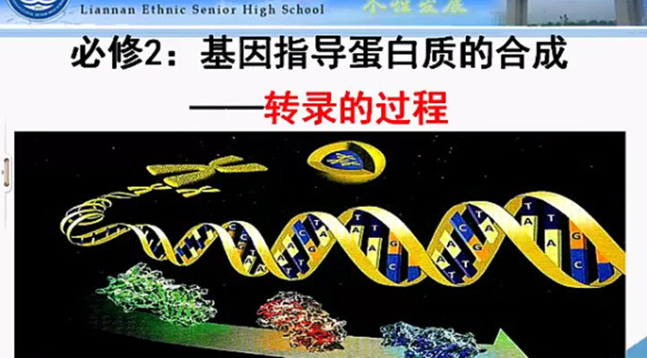 基因指导蛋白质的合成——dna的转录