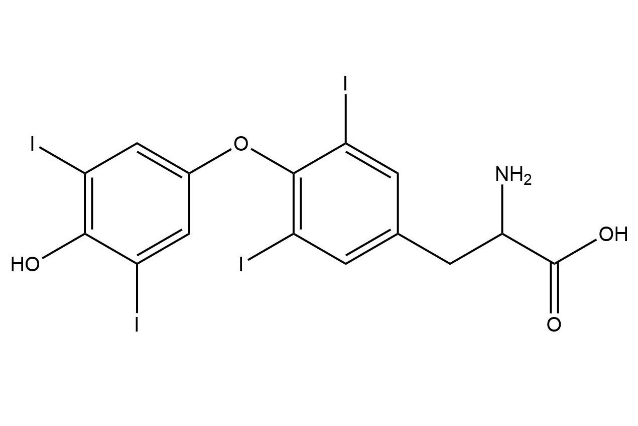 甲状腺素