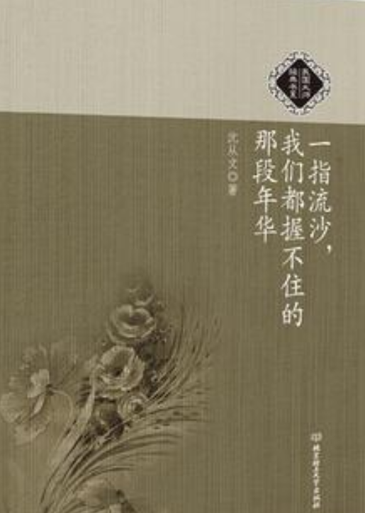 一指流沙我们握不住的年华