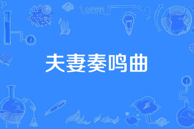 夫妻奏鸣曲