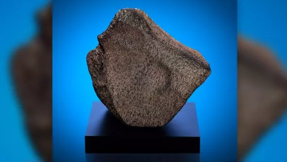 骨董品　鉱物　隕石　インド　1787年　火星隕石 骨董品 鉱物 隕石 インド 1787年 火星隕石 約44.5億年前、火星に