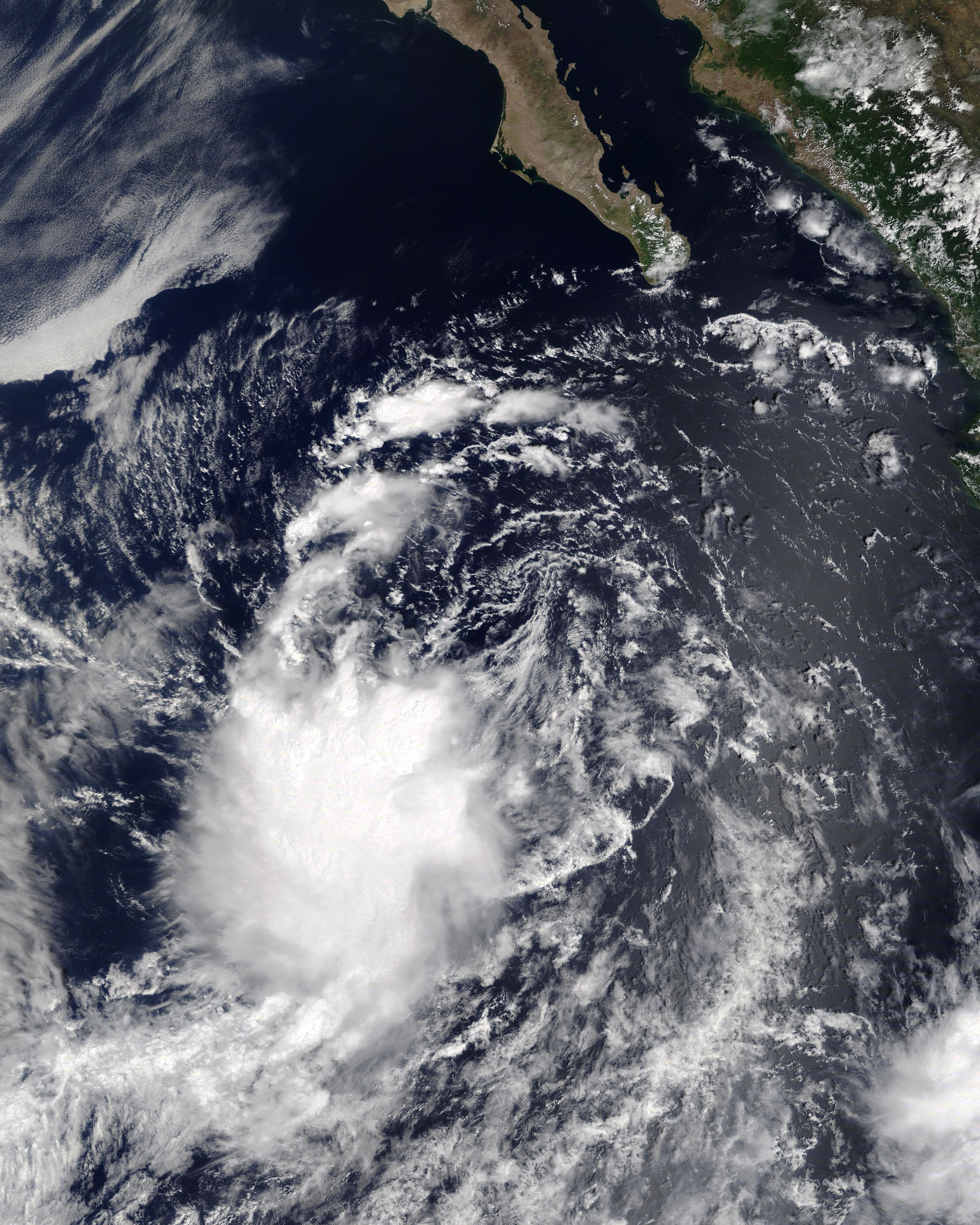 2020年太平洋飓风季