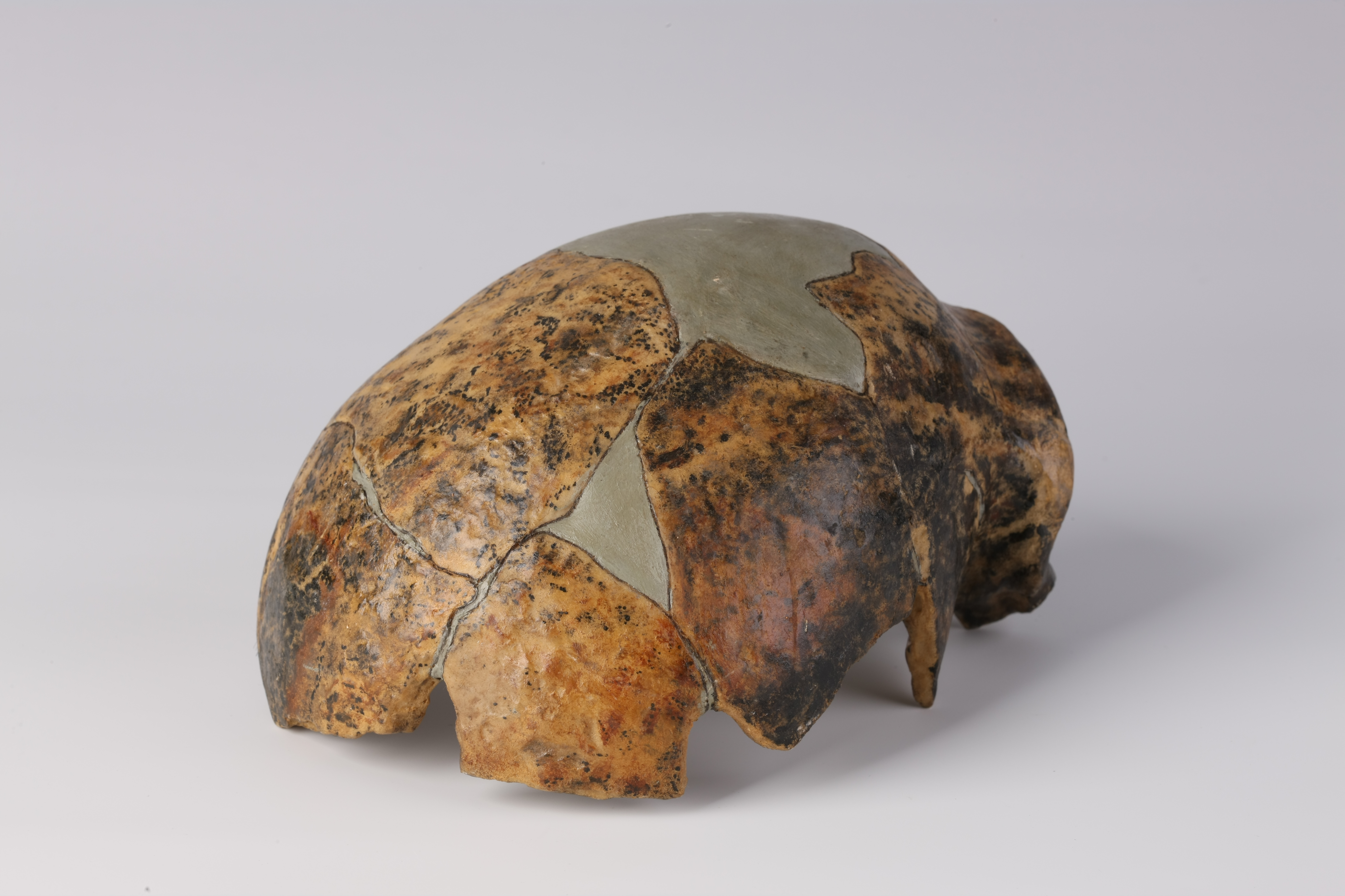 这里发现了迄今为止广东省最早且唯一的古人类——马坝人的头盖骨化石