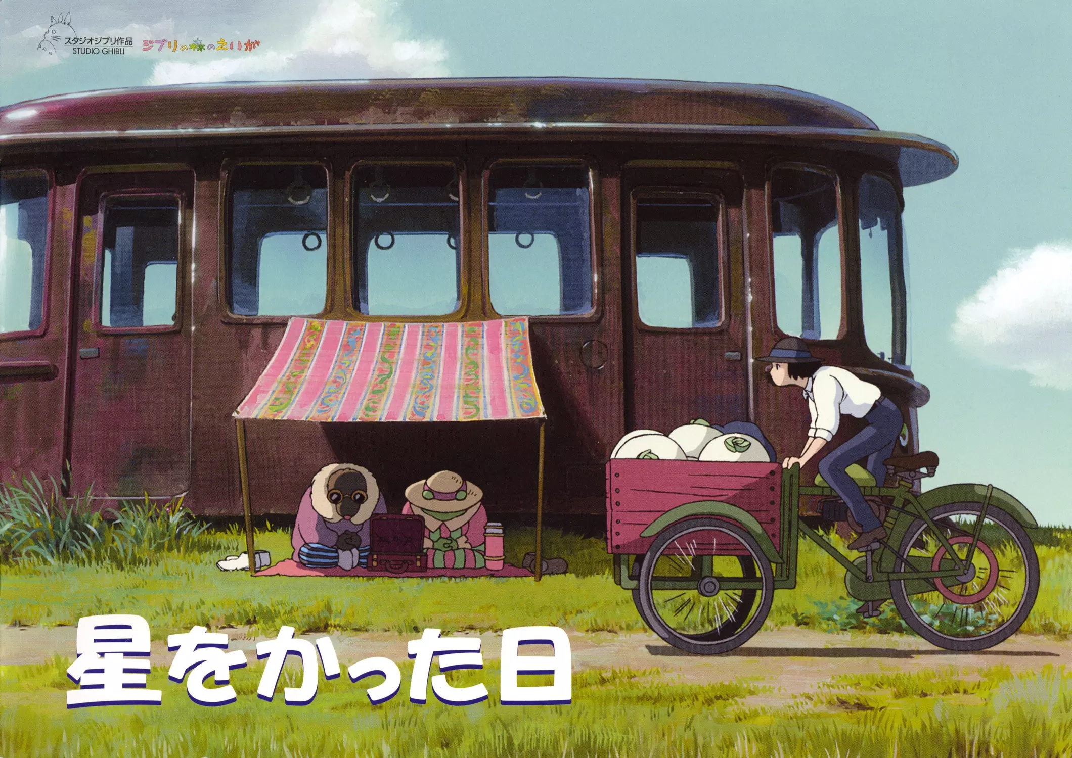 种下星星的日子