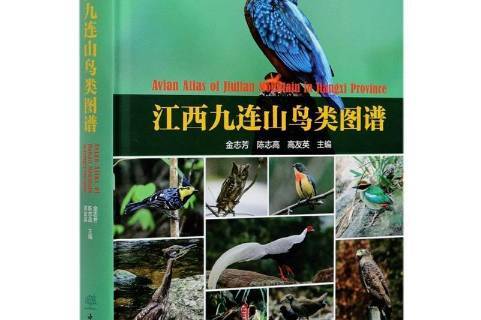 江西九连山鸟类图谱