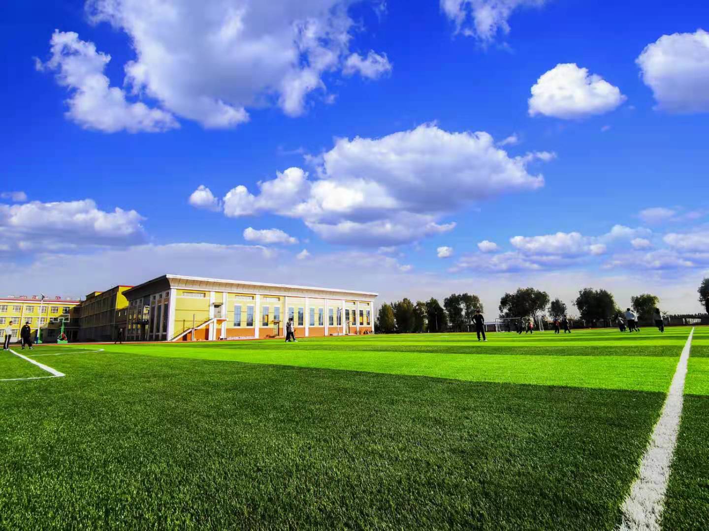 大庆市思凯乐高级中学