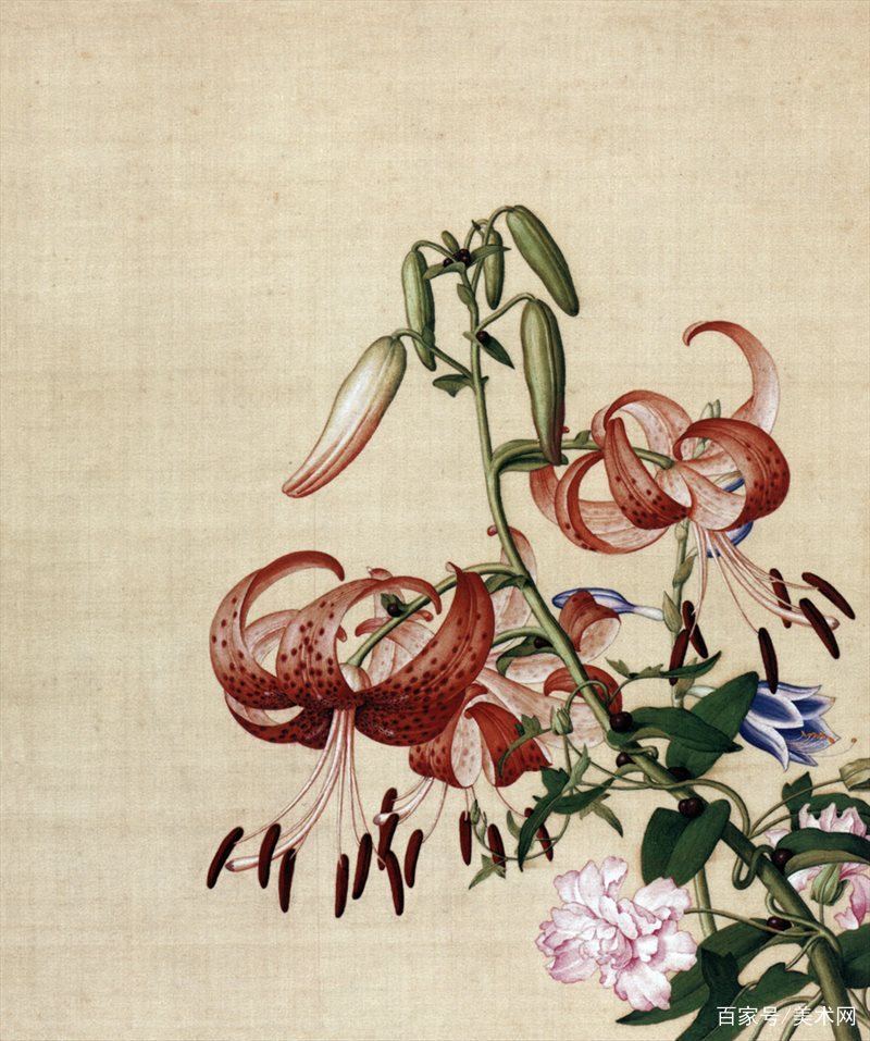 郎世寧 花鳥圖 清郎世宁《花鸟图册》赏析-搜狐