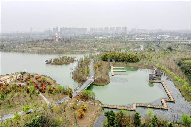 新龙生态湿地公园