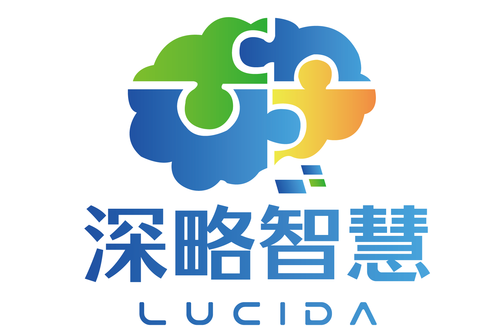深圳深略智慧信息服务有限公司