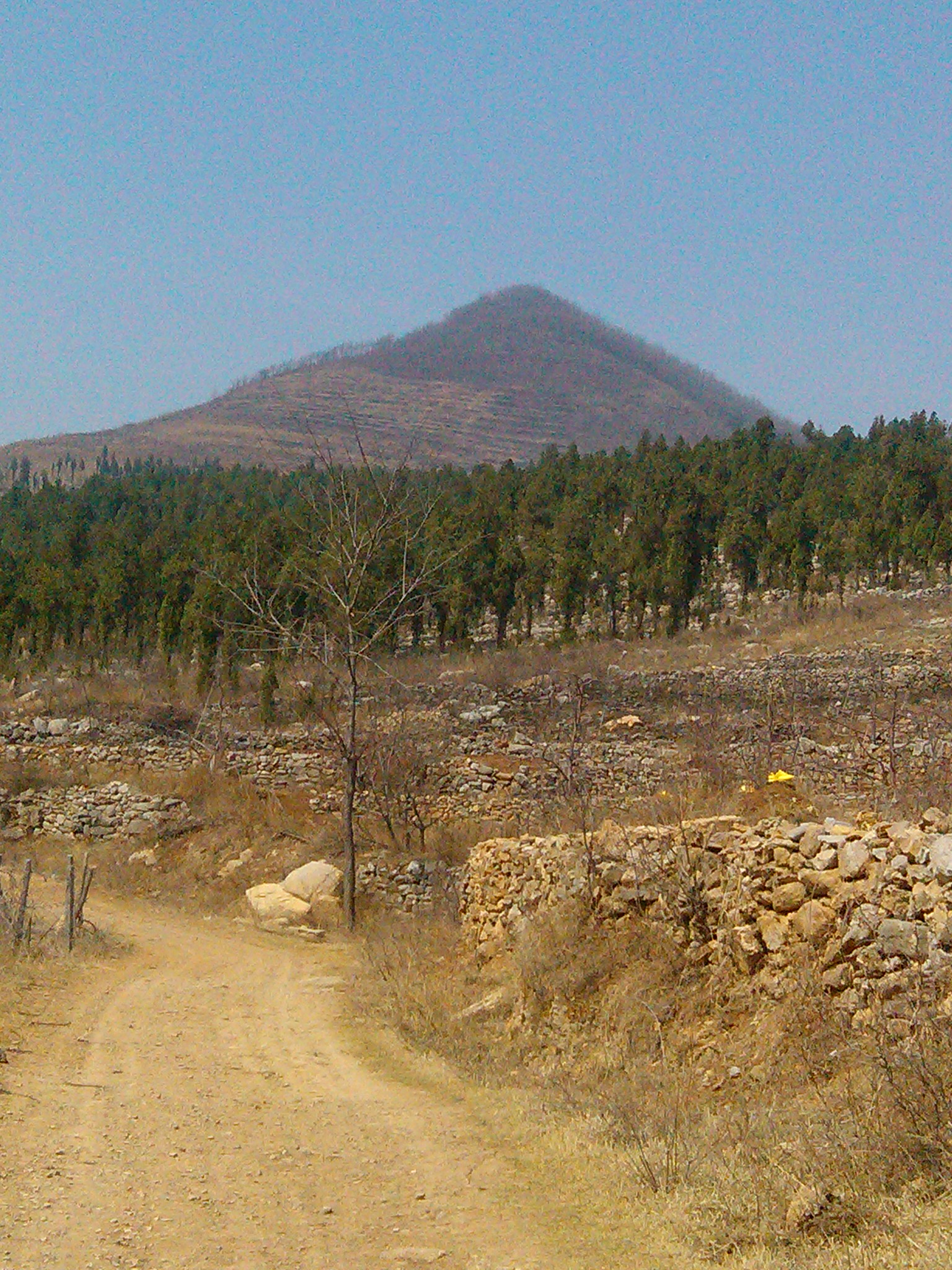 data-lemmaid="2445918">安丘市 /a>石埠子镇摘月山山下,是樱桃种植