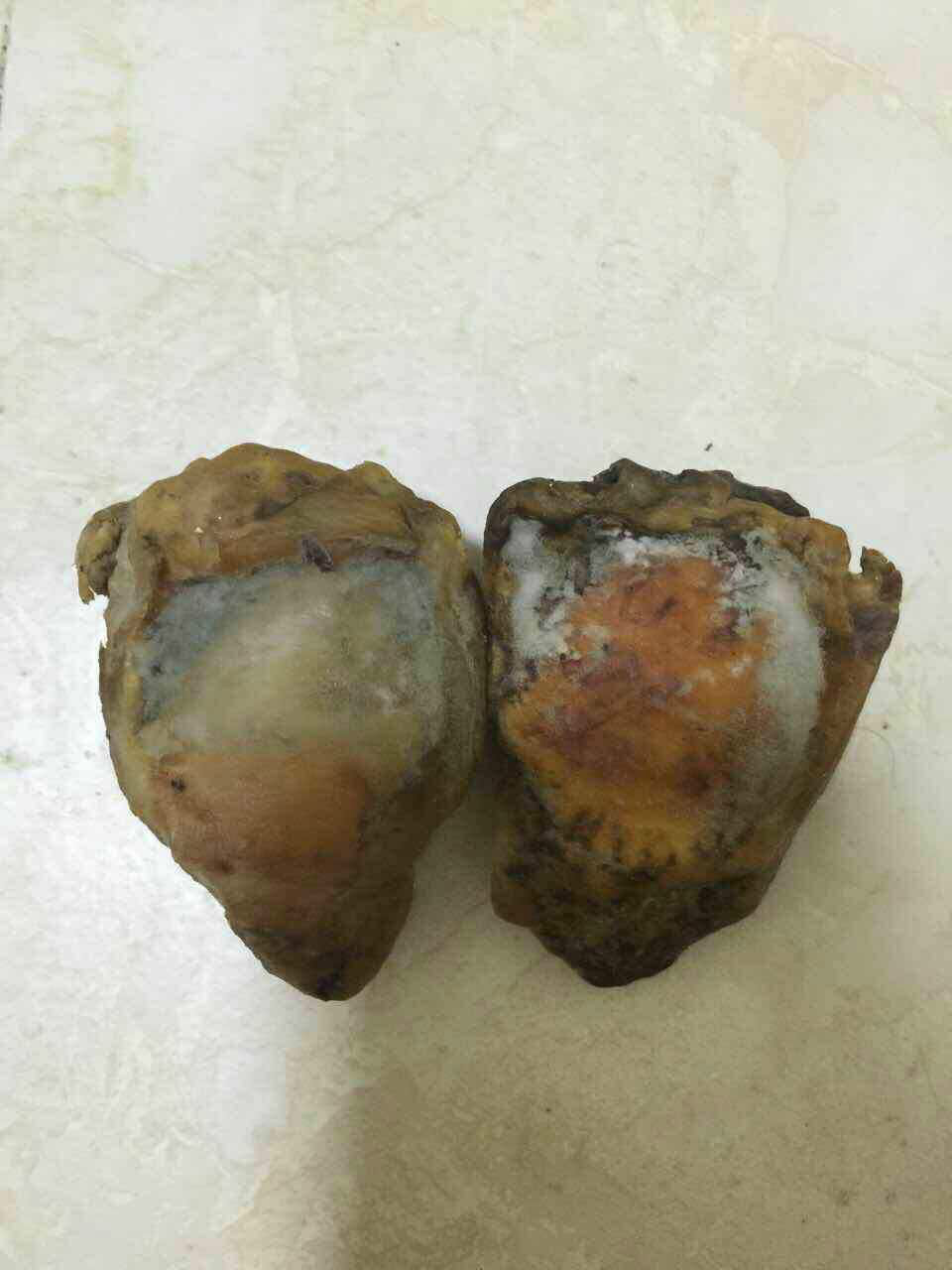  p data-id="gnxa186vxh">虎膝为老虎髌骨,为虎身上最珍贵的骨头之一