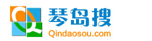 青岛琴岛搜网络传媒有限公司