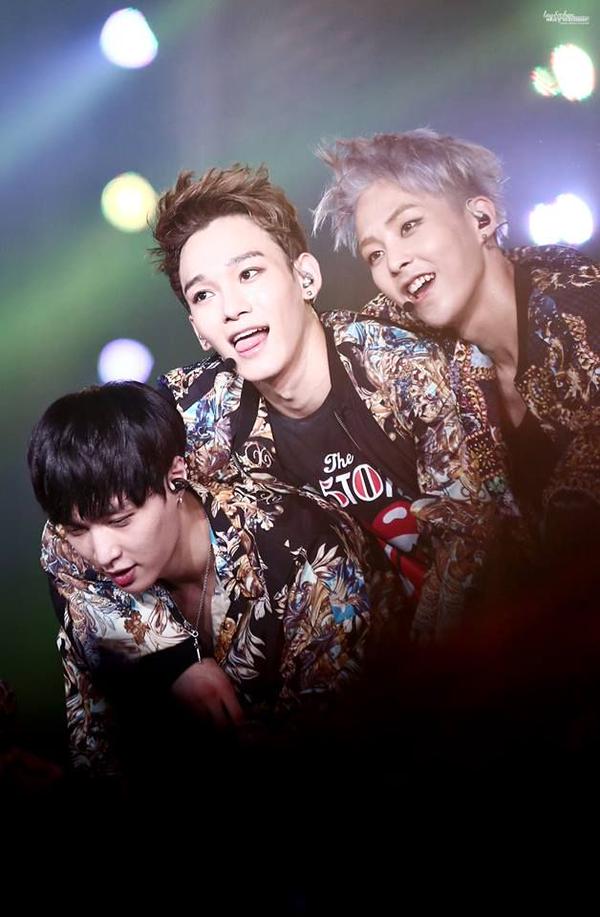  p>exo-m,华语流行乐男子演唱组合,韩国男子流行演唱组合 a target="