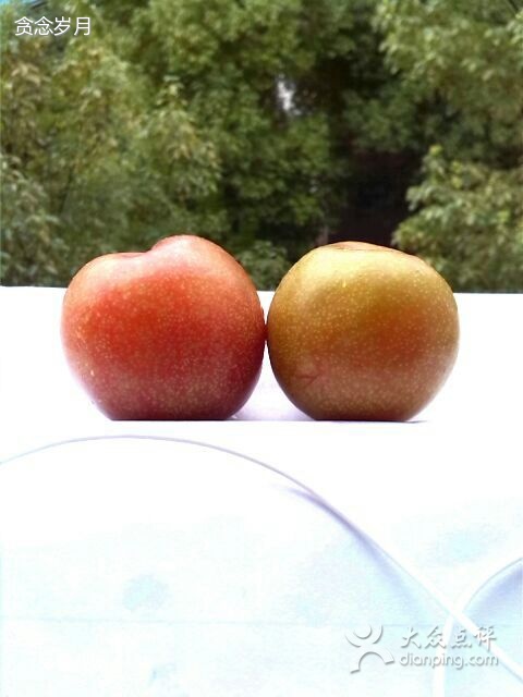 豪客来(溧阳店)