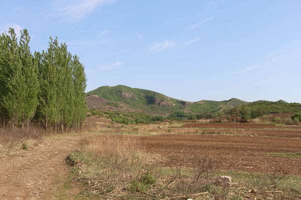  p>小塔子村隶属于辽宁省新民市东蛇山子乡,该村位于东蛇山子乡北部