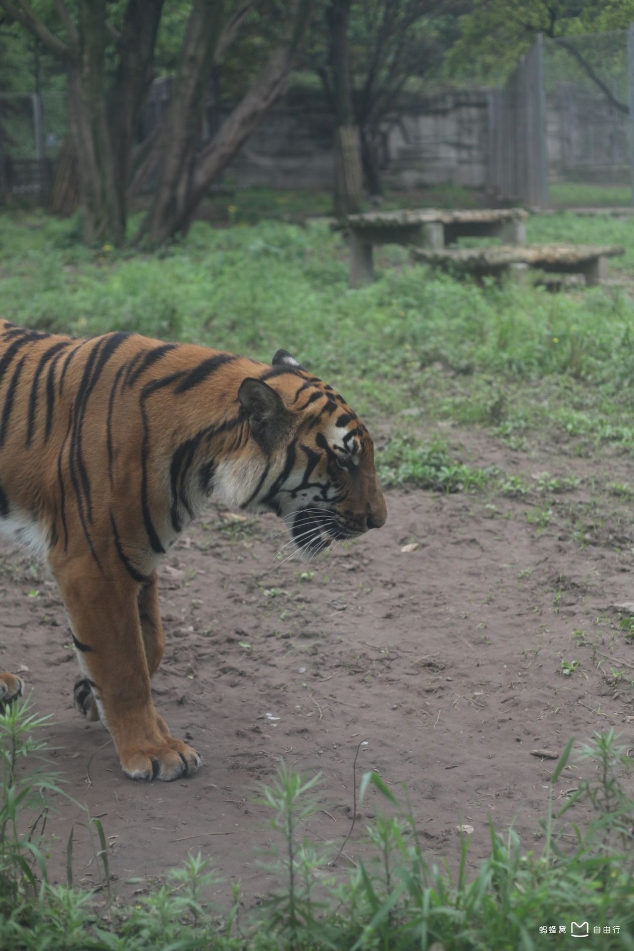  p>重庆动物园(chongqing zoo),原名西区公园,位于重庆市 a target="