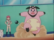 神奇宝贝:石英联盟