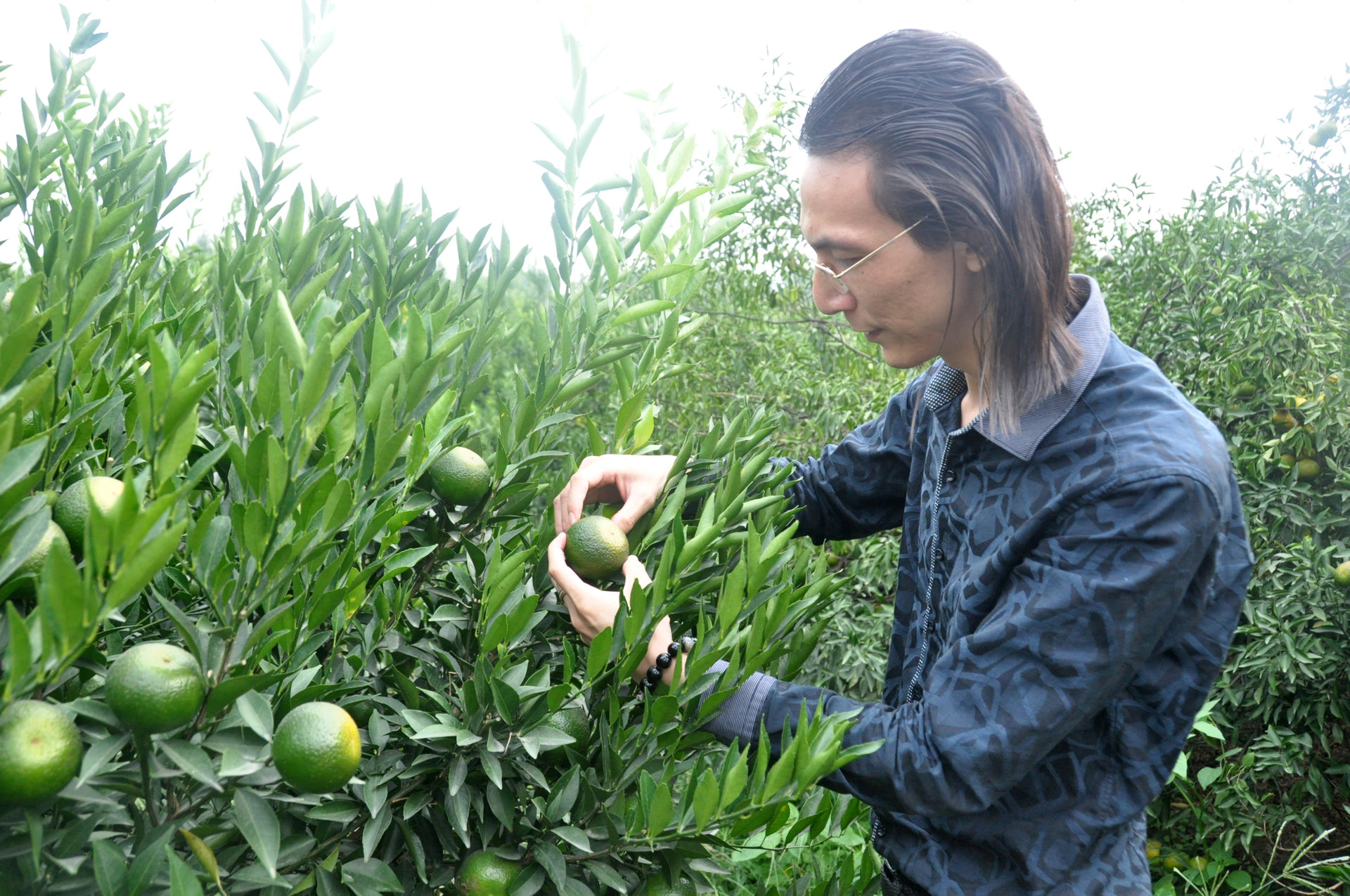  p>陈柏忠,广东新会人,现任 a target="_blank" href="/item/江门市