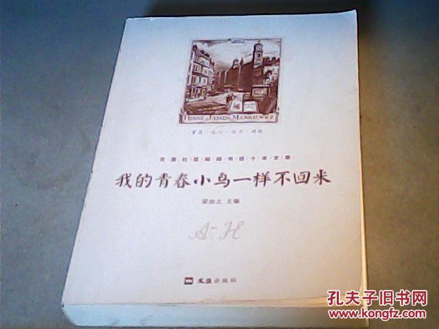 我的青春小鸟一样不回来