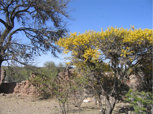 杜兰戈州(durango)地处 a target="_blank" href="/item/墨西哥