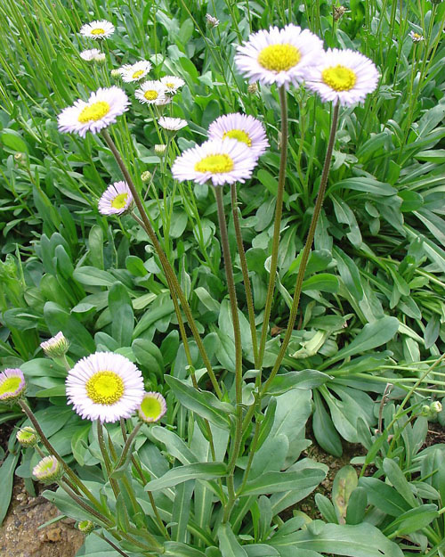 红河千山生物工程有限公司