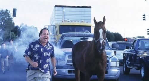 亡命寻宝ratrace(2001)