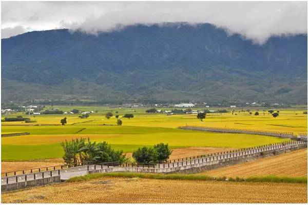  p>台东纵谷平原位于台湾岛东部,在中央山脉和海岸山脉之间.