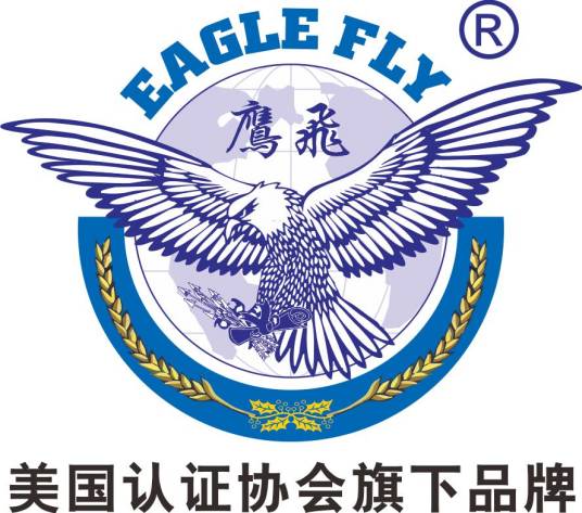 鹰飞国际_百度百科