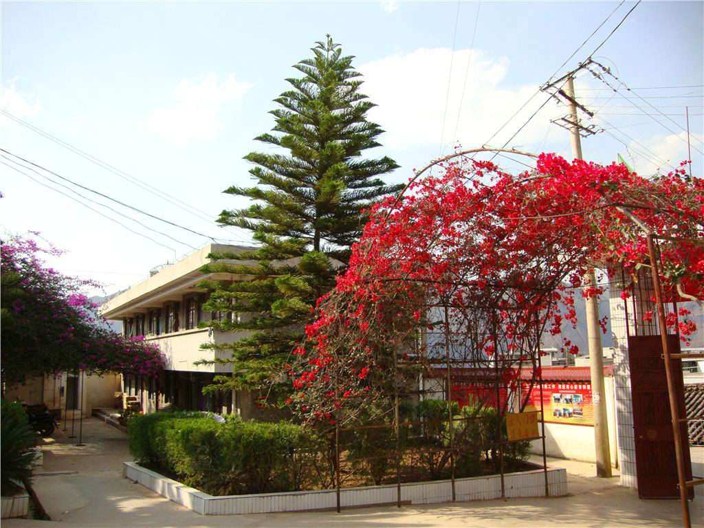 武定县田心乡小学