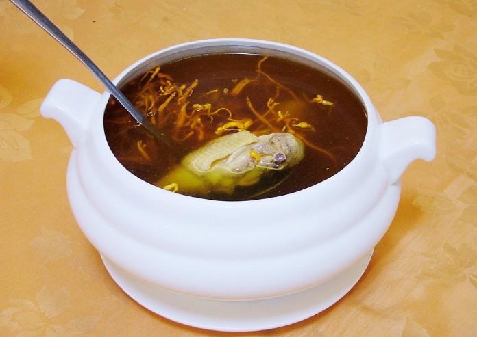 虫草煲水鸭