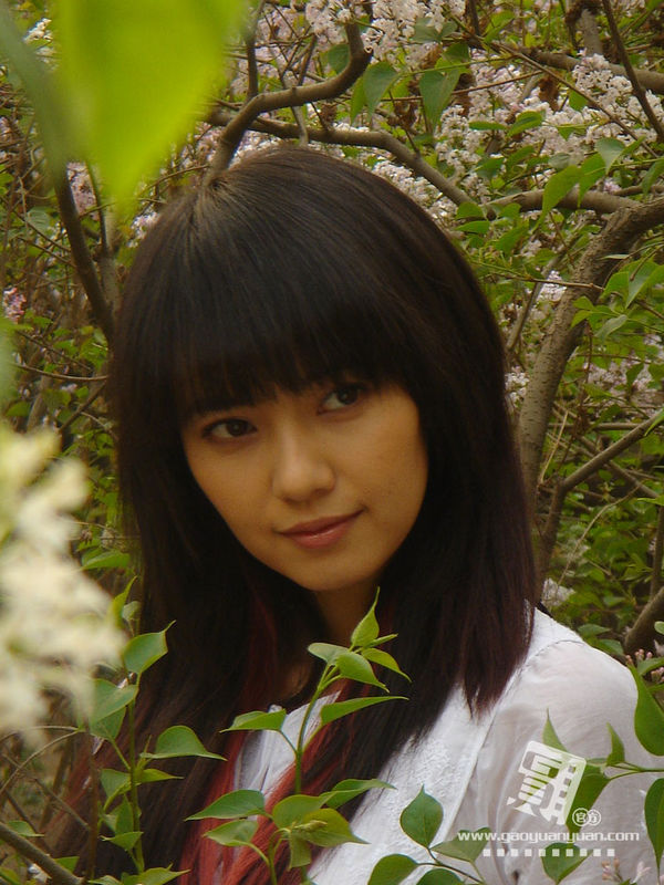 高圆圆