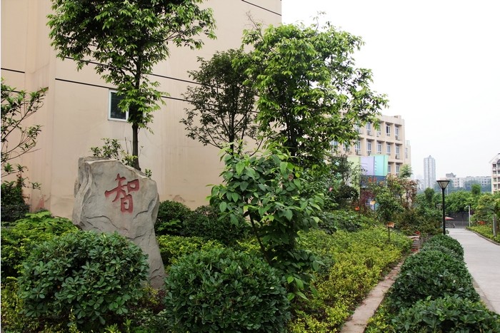 重庆李家沱小学
