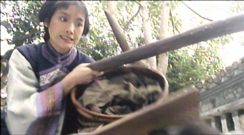 部由杜琪峰执导,郭富城,吴倩莲,张曼玉,狄龙等主演的香港古装动作电影