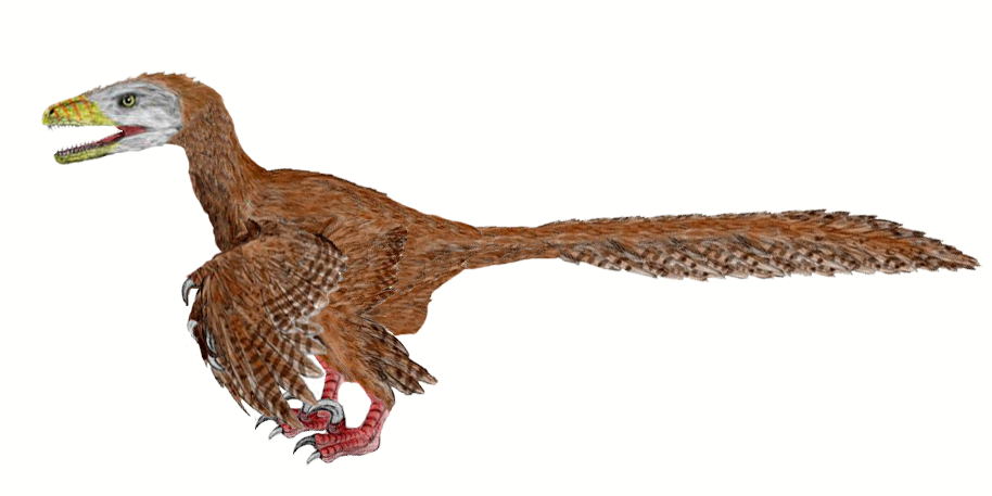 deinonychus