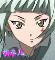 胡车儿,女,日本漫画《 a target="_blank" href="/item/一骑当千/6457