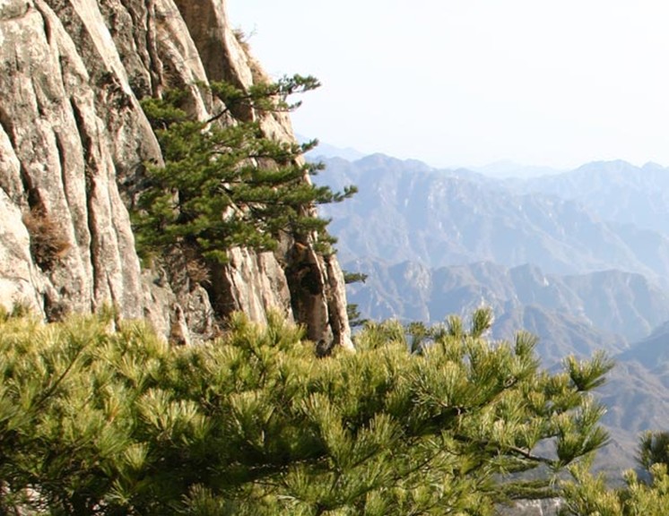  p> a href="#" data-lemmaid="1593473">南阳独山玉国家矿山公园 /a>