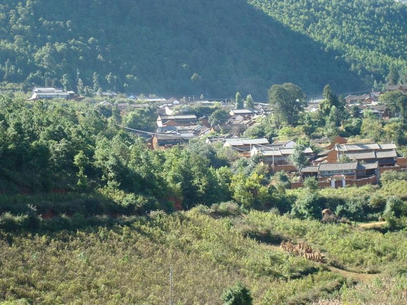  p>海塘村隶属云南省大理州洱源县右所镇,位于腊坪村委会西边. /p>