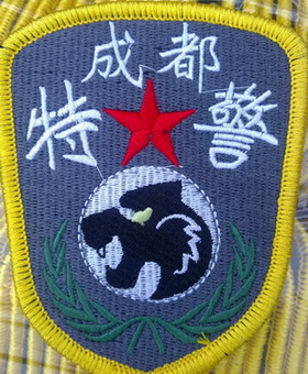  p>黑豹特警队是成都公安局武警出身的黎再坤最早在地方公安中建立起
