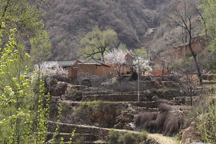 猪圈沟自然风景区