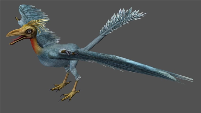  p data-id="gnardk1ooq">热河鸟是最原始的鸟类之一,也是化石鸟类中