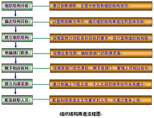 直线职能型组织结构