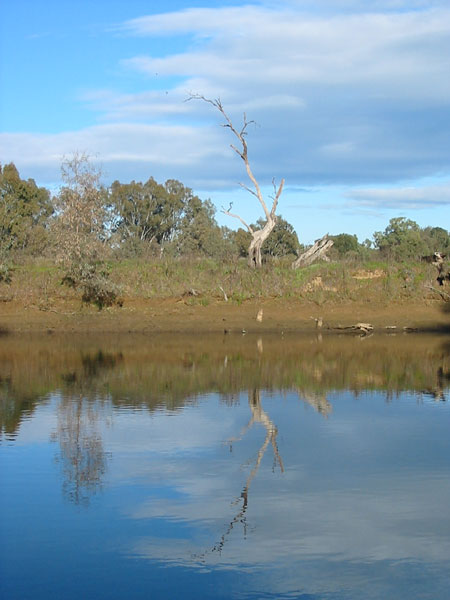  p>墨累河是 a target="_blank" href="/item/澳大利亚/146759" data