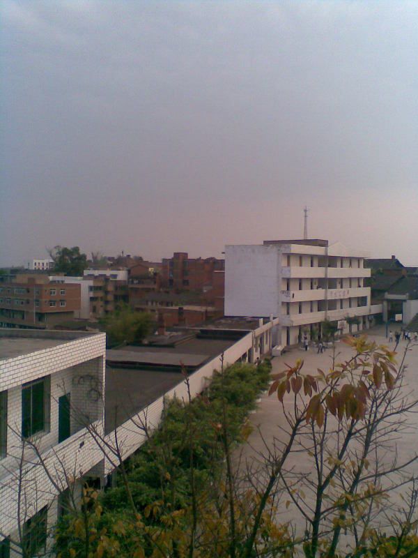 荣县旭阳镇过水学校