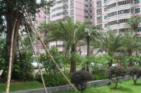  p data-id="gn70nup66x">宝安海滨广场三期是宝安海滨城广场一,二期