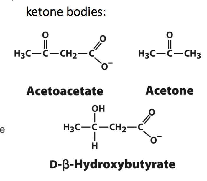 " data-lemmaid="6208879">乙酰乙酸 /a>,β-羟基丁酸及丙酮三者统称