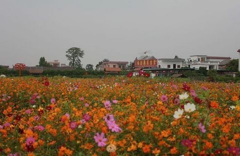 灯笼沙水乡旅游风景区