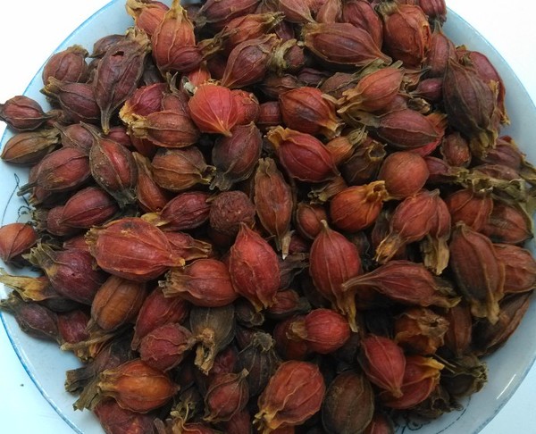  p>炒栀子系栀子的一种制法,取净栀子,照清炒法炒至黄褐色. /p>