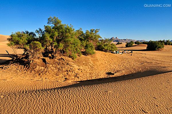 ir,法语:algérie),是 a target="_blank" href="/item/非洲/81619"