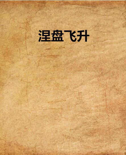 涅盘飞升